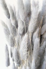 Gray pastel bunny tails up close looking fluffy