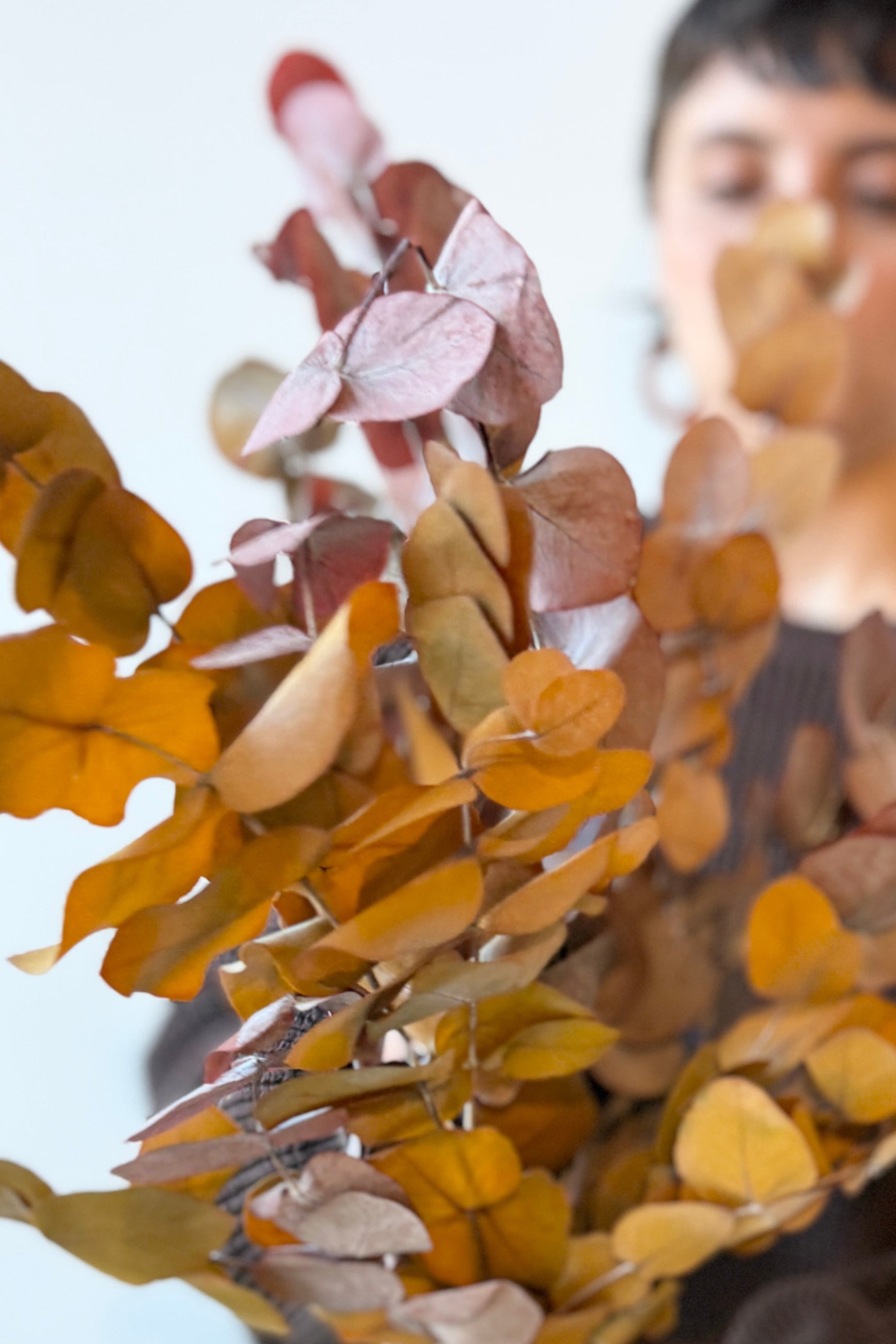 Close-up of dried preserved mocha spiral eucalyptus leaves with a blurred person in the background ©Sprout Home