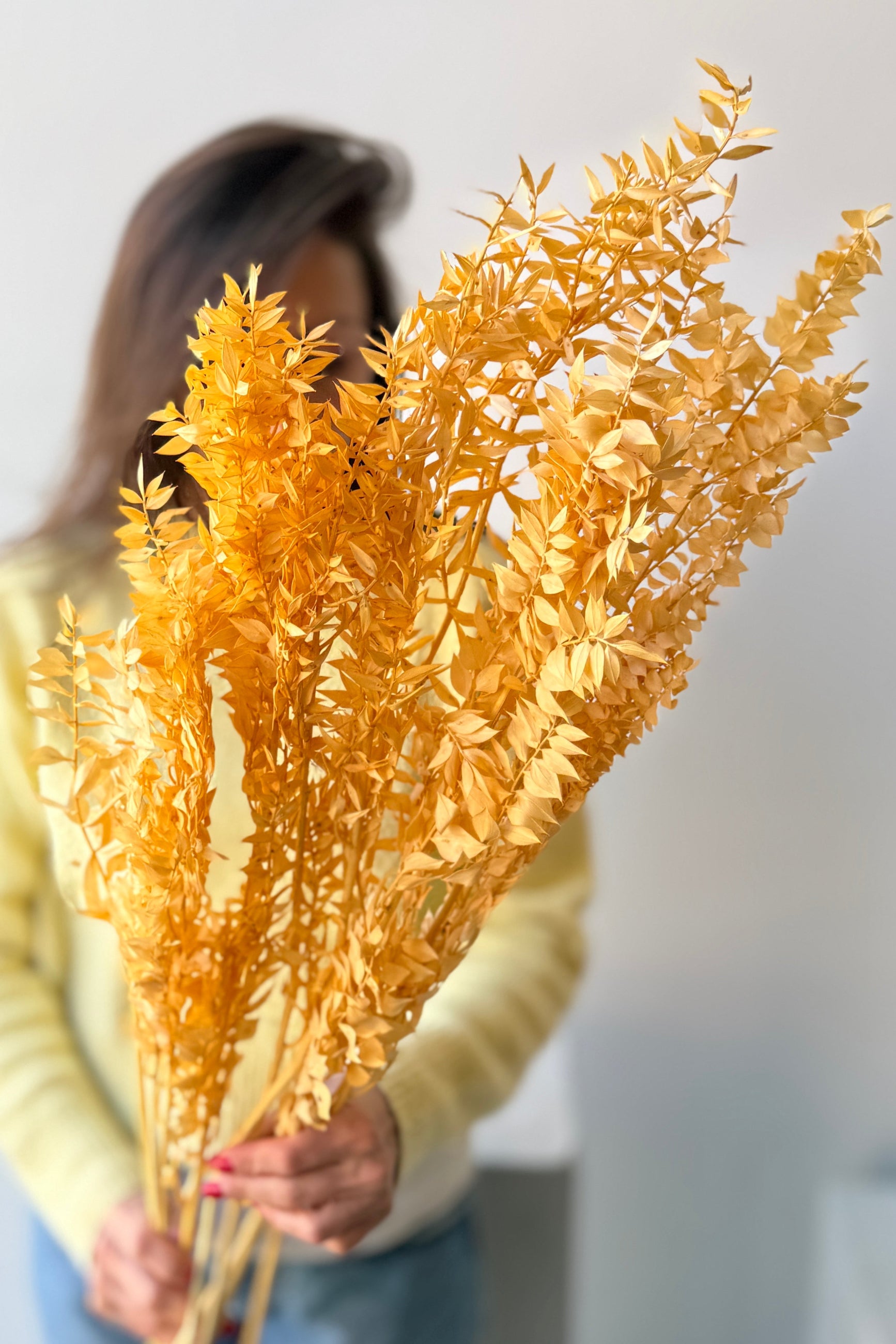Person holding a bouquet of dried and peach preserved Ruscus against a plain background ©Sprout Home