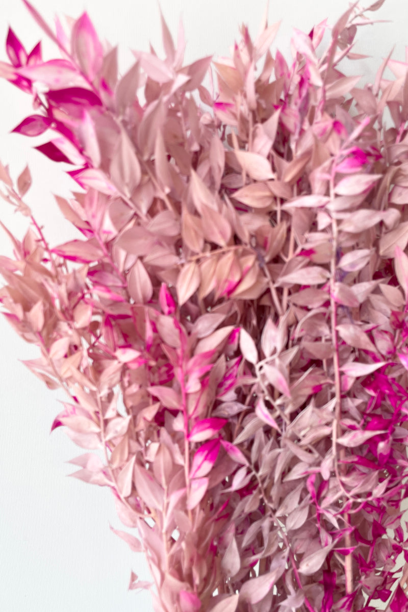 Detail of the lavender and pink tinted preserved leaves of Ruscus. 