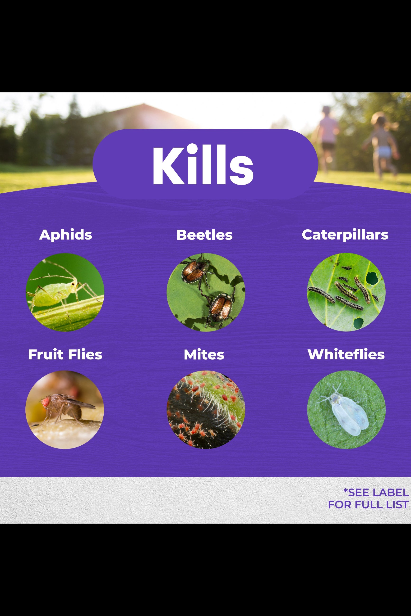 Product label showing insects that can be killed with a pest control product, set against a blurred outdoor background. ©Bonide