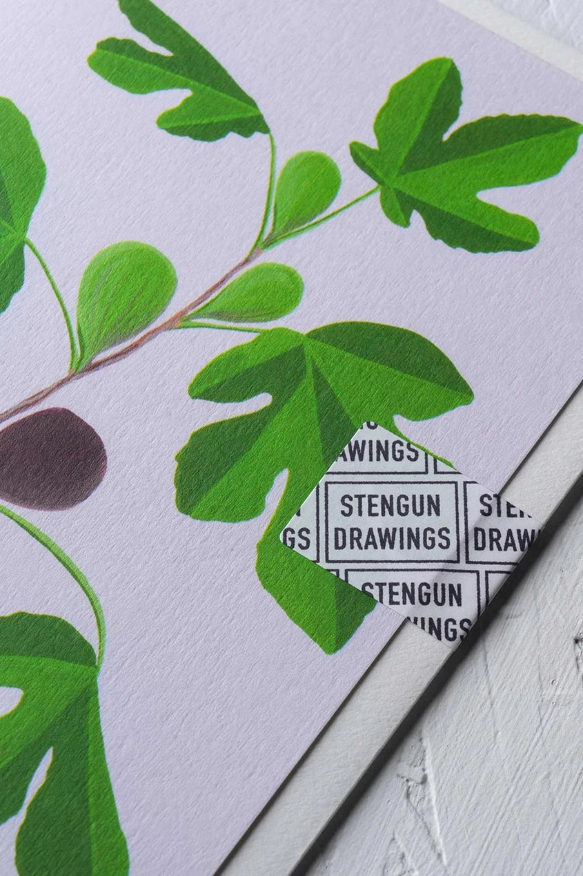 Fig greeting card from Stengun Drawings showing the right upper corner up close with the green leaves and one fig.