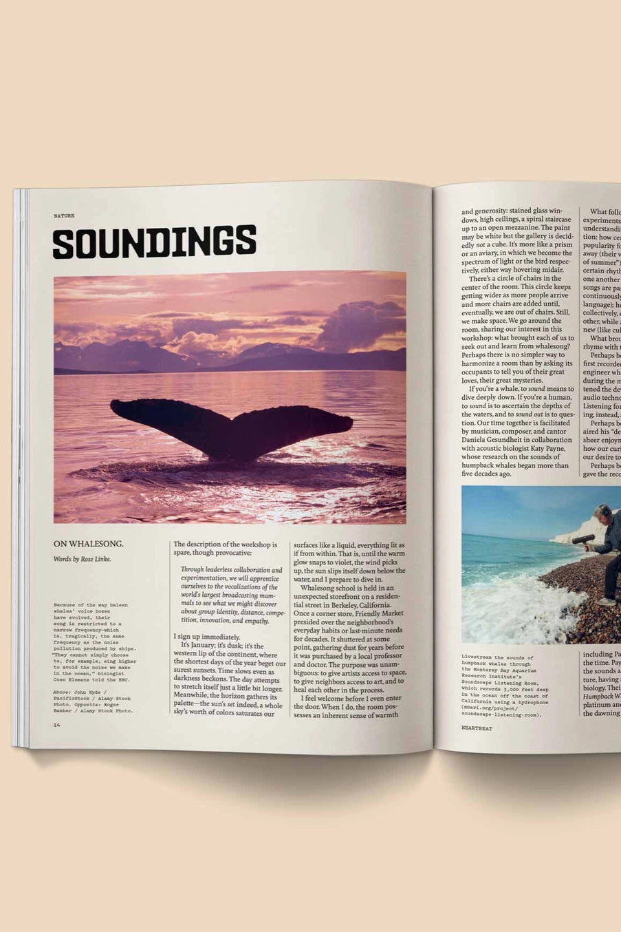 Heartbeat Magazine: Music, Sound, Emotion Open magazine with a whale tail and person on a beach, titled 'Soundings'. ©Broccoli
