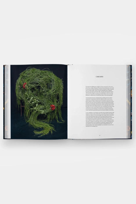 Open Emily Thompson Flowers book with a decorative head made of greenery and red flowers on a white background ©Phaidon
