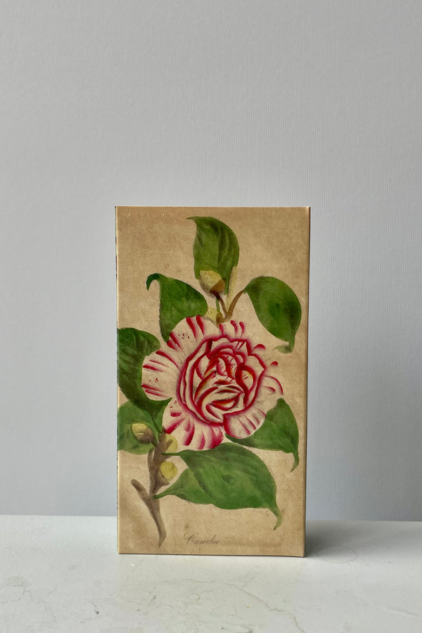 Photo of matchbox with camellia flower against a white wall