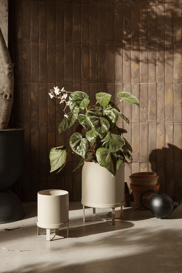 Two different sized Bau pots in Cashmere color by Ferm Living and the larger with in a plant inside. On the floor in a room with dim shadowed light.