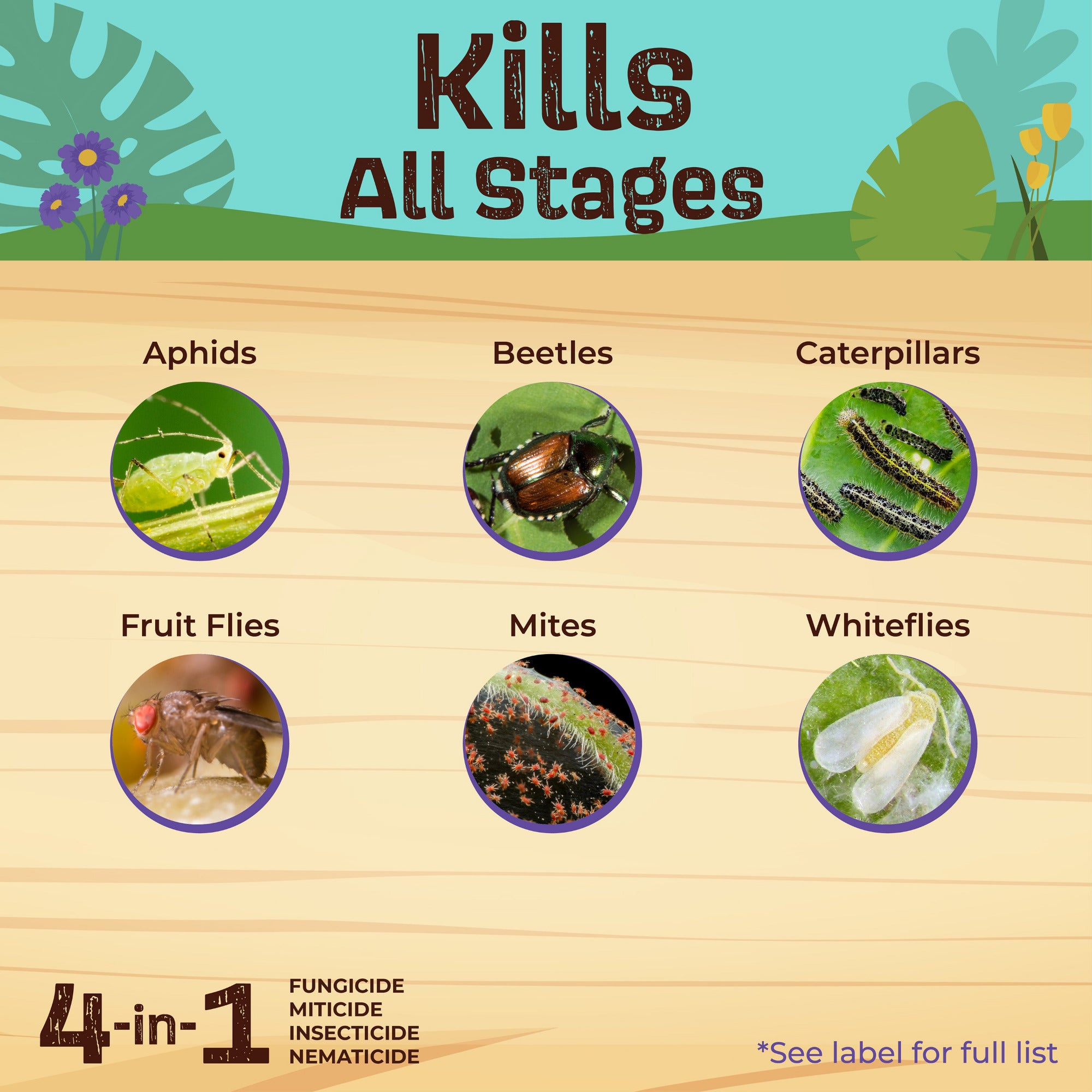 Insecticide product label showing images of pests and text 'Kills All Stages' on a wooden background. ©Bonide