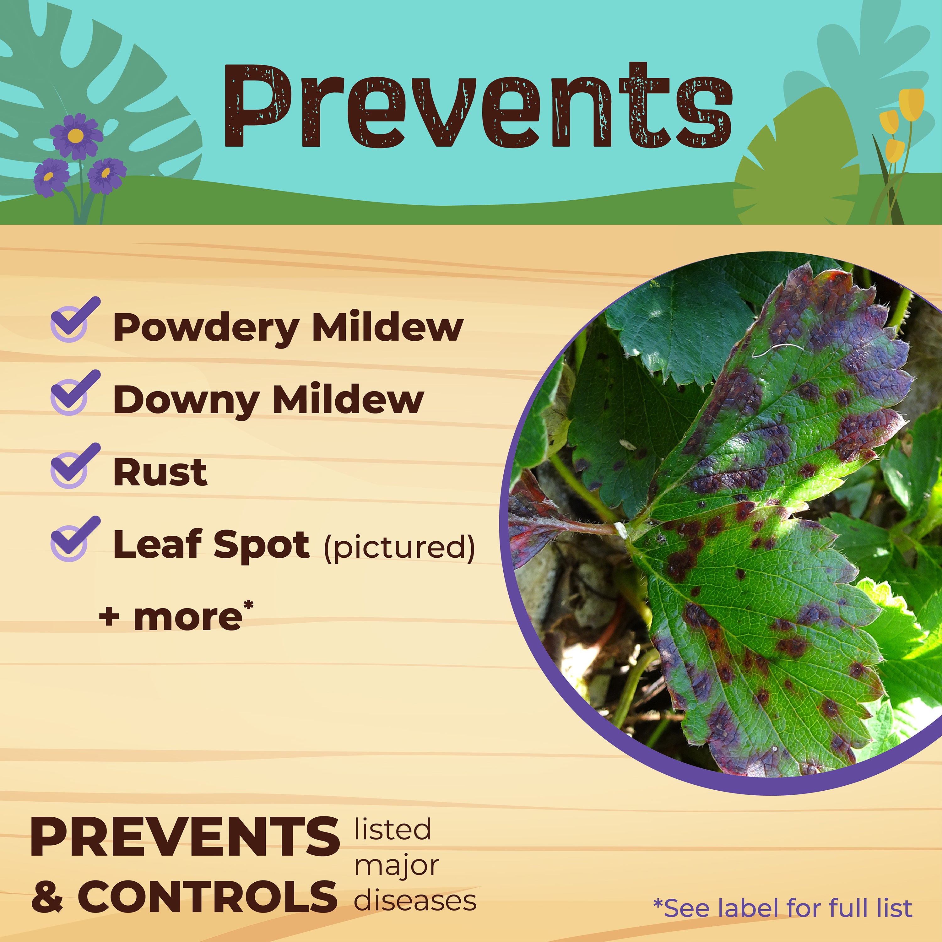 Neem Max For Houseplants Ready-to-Use 12oz. prevents tag ©Bonide