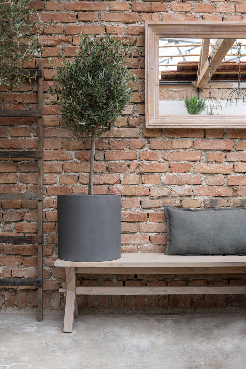 Max Pot Black potted with a standard tree, sitting on a large wood bench in a lifestyle shot against a brick wall by Pottery Pots