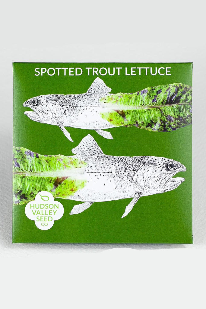 Spotted Trout Lettuce packaging with illustrations of a fish and lettuce on a green background.  ©Hudson Valley Seed Co.