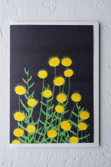 the Dungoness card by Stengun Drawings against a white wall showing off its bright yellow flowers on a black backdrop