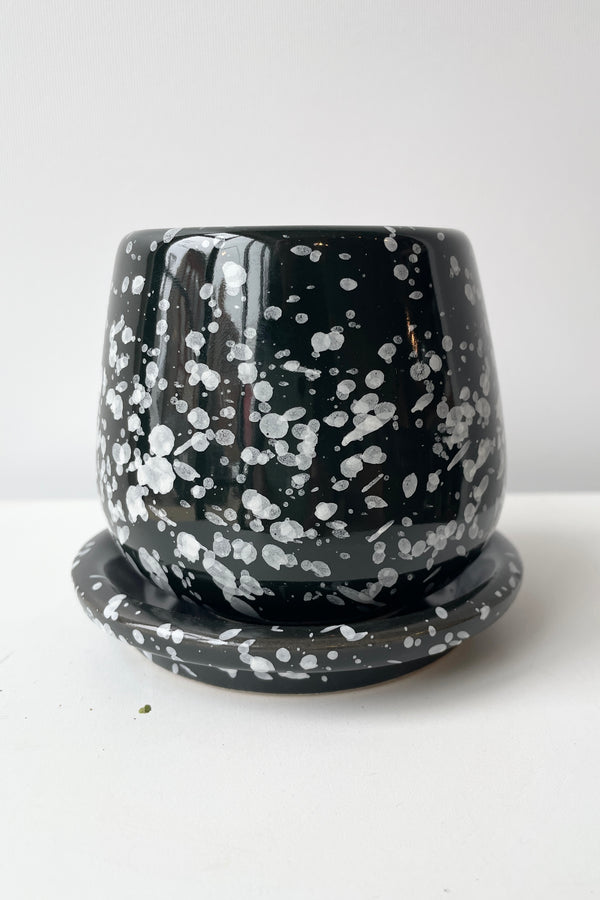 An eggshell small planter in a speckled black finish shown from the side at eye level against a white wall. 