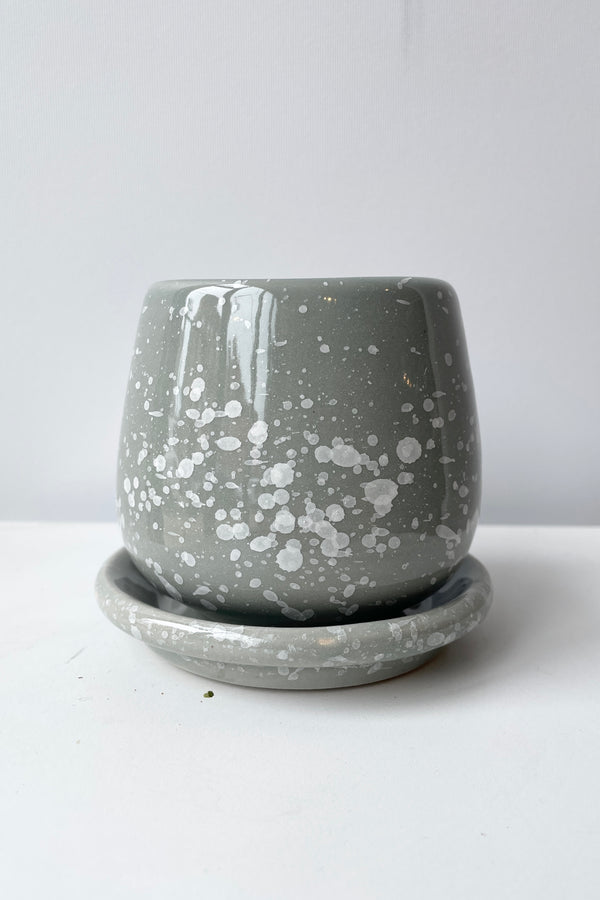 A Speckled Gray Eggshell small planter viewed at eye level against a white wall .