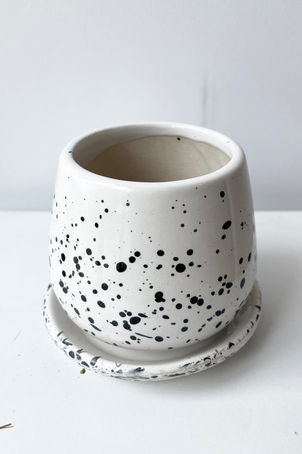 Cute speckled white planter shown from the top side looking in. 