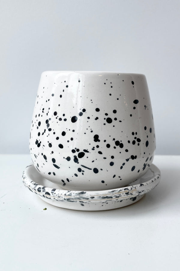 Speckled white eggshell planter pictured from the side at eye level against a white wall. 