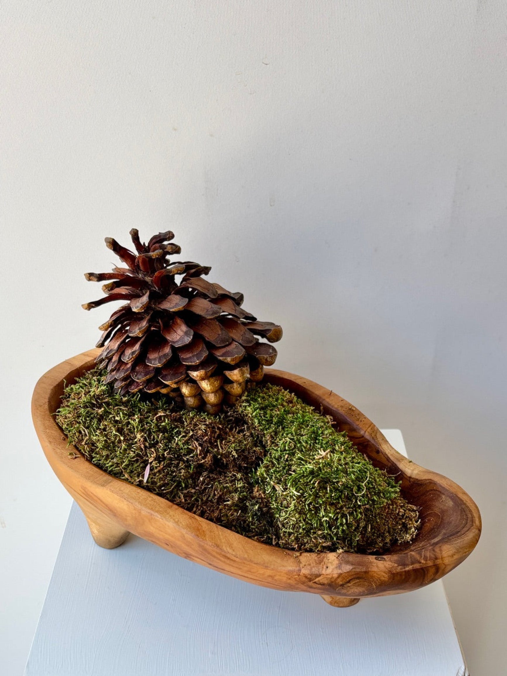 Wavy wooden bowl with moss and pine cones on a white background ©Sprout Home