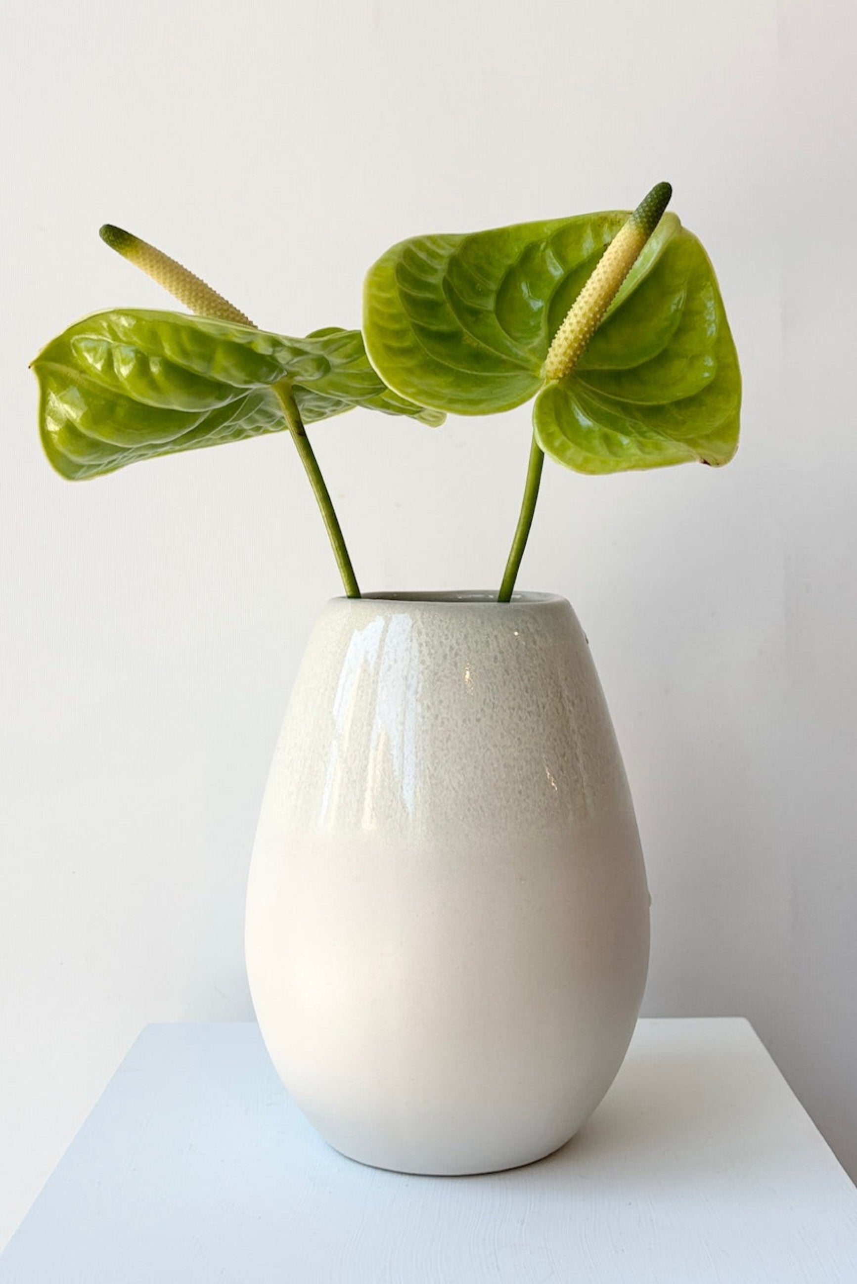 Ceramic Drop Vase with flower stems against a gray background ©Sprout Hme