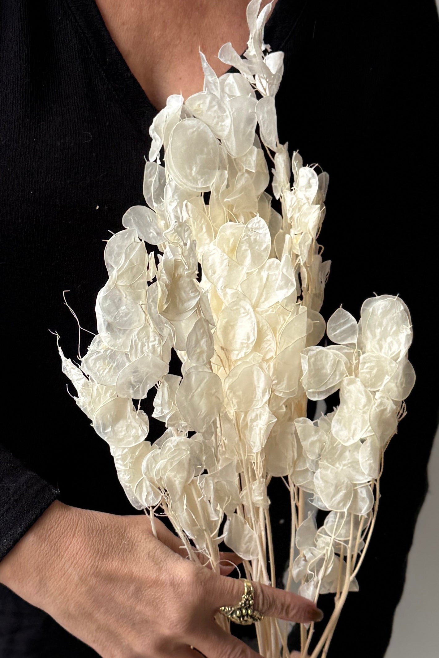 Person holding a bouquet of white dried Lunaria against a black background ©Sprout Home