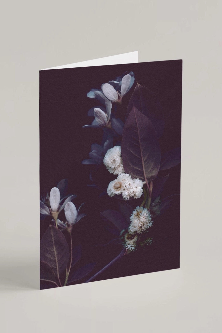 Nocturne Greeting card with floral design on a dark background  ©Raoul & Simone