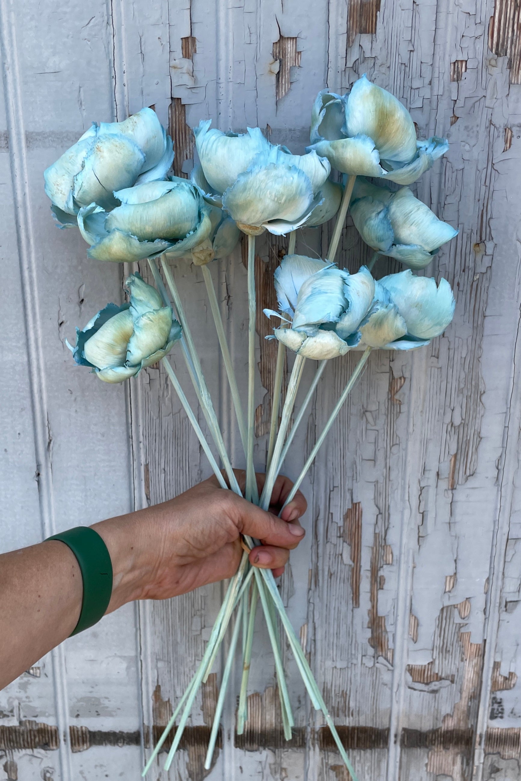 A bunch of Gray Blue Palm Caps being held against a gray wood wall.  ©Sprout Home