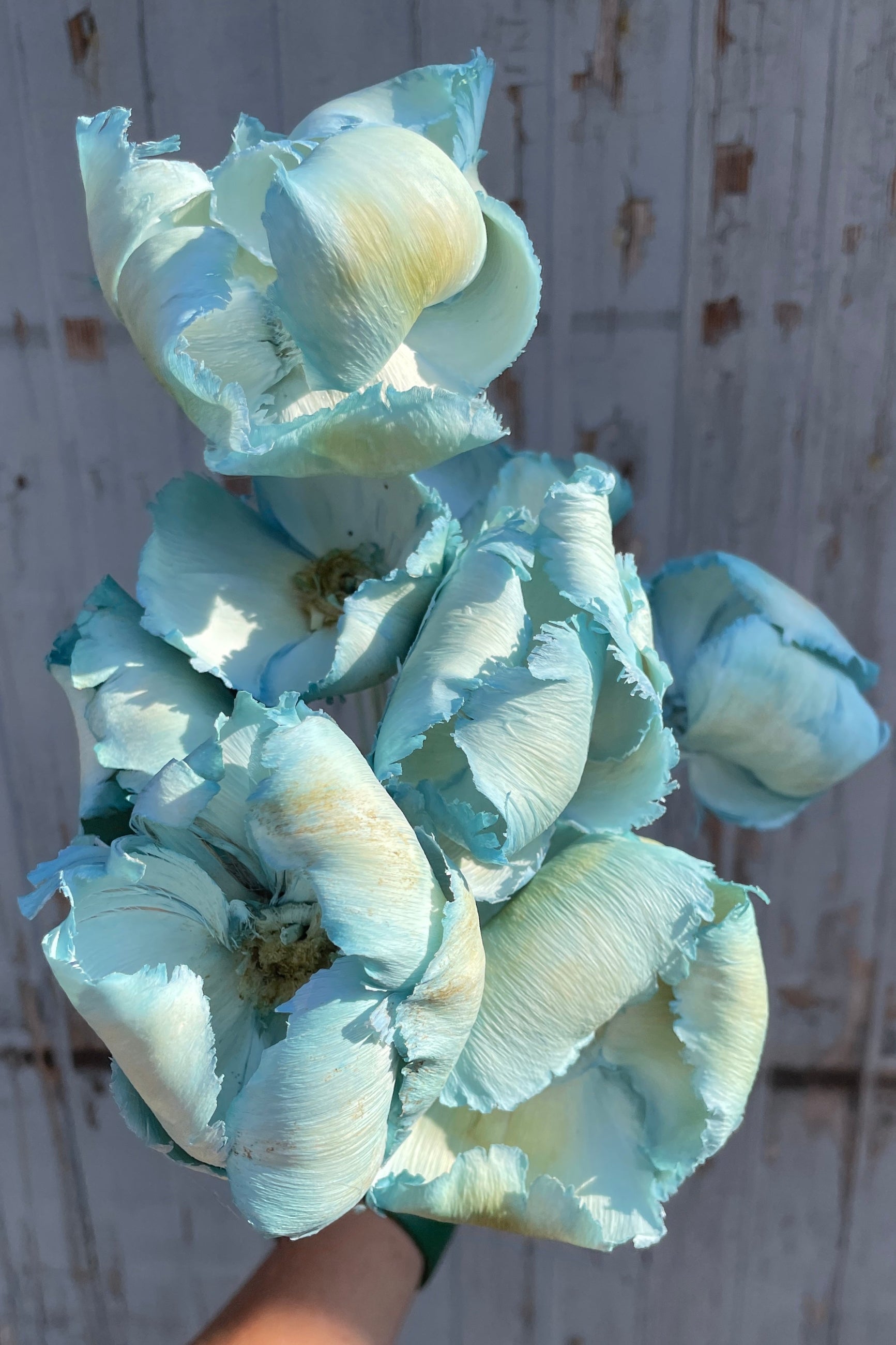 Detail shot of the Gray Blue pastel Palm Cap bunch ©Sprout Home