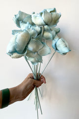 Palm cap bunch in a gray blue shade being held in hand against a white wall. 