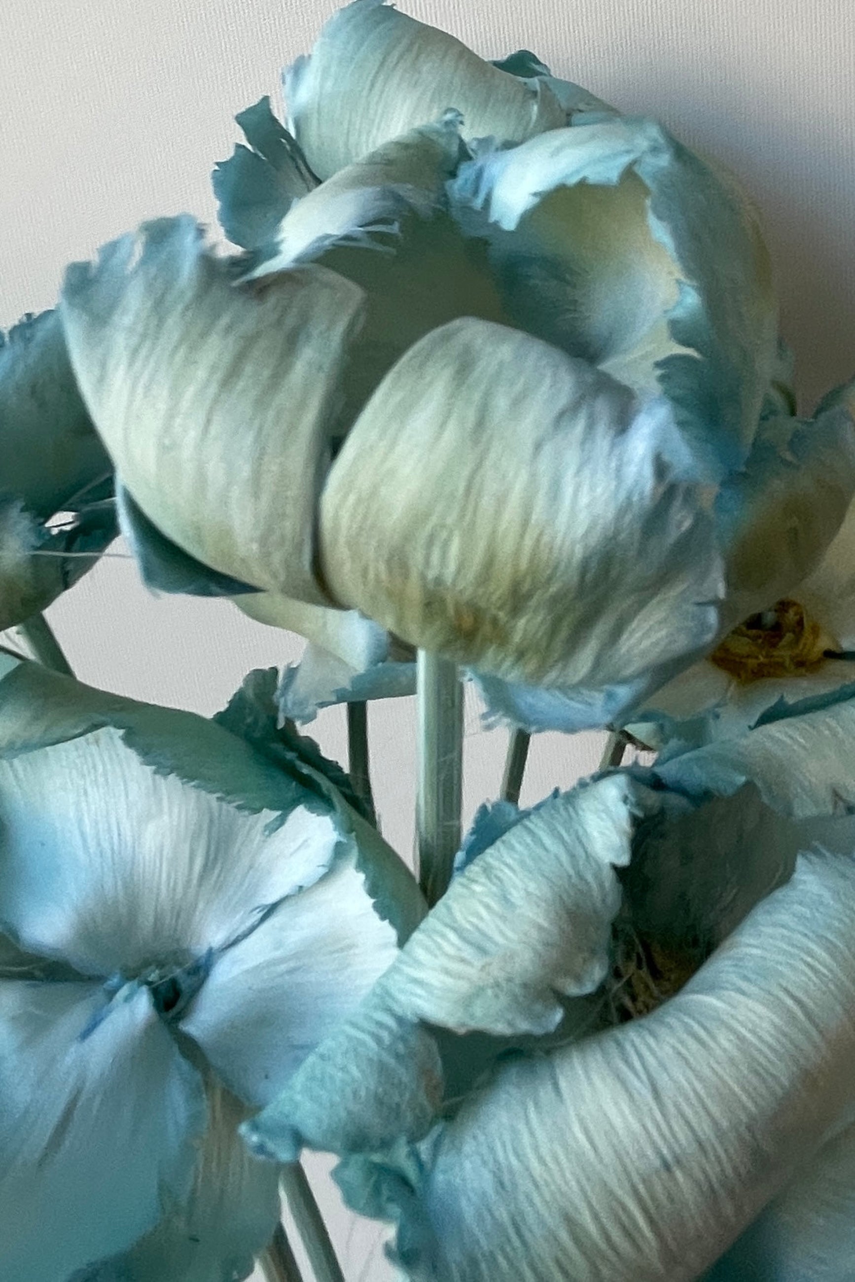 A close up of Palm Caps in Gray Blue  ©Sprout Home
