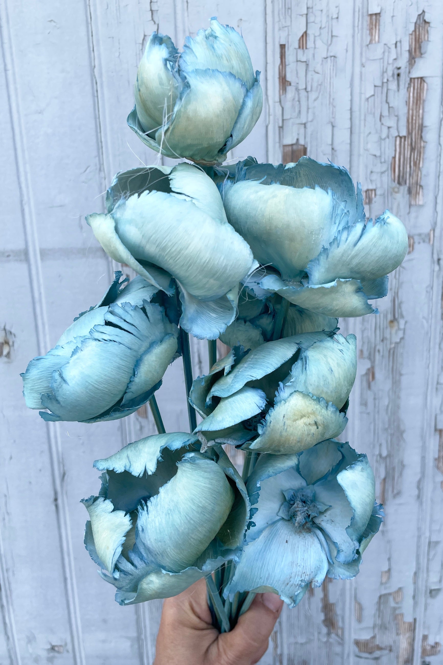 Palm cap baby blue pastel preserved bunch against a gray wall.  ©Sprout Home