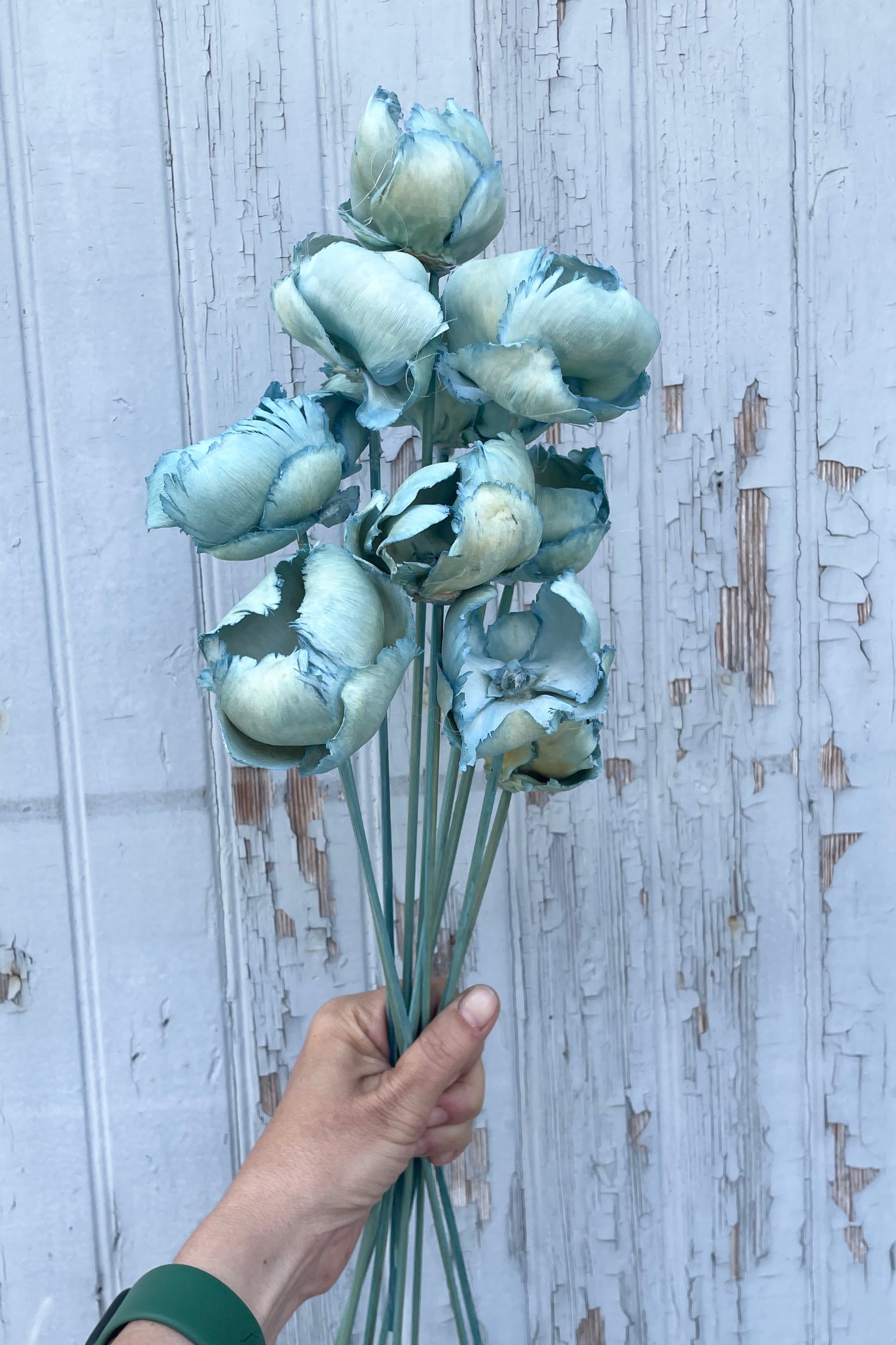 Palm cap bunch in a baby blue color being held against a gray wood wall. ©Sprout Home