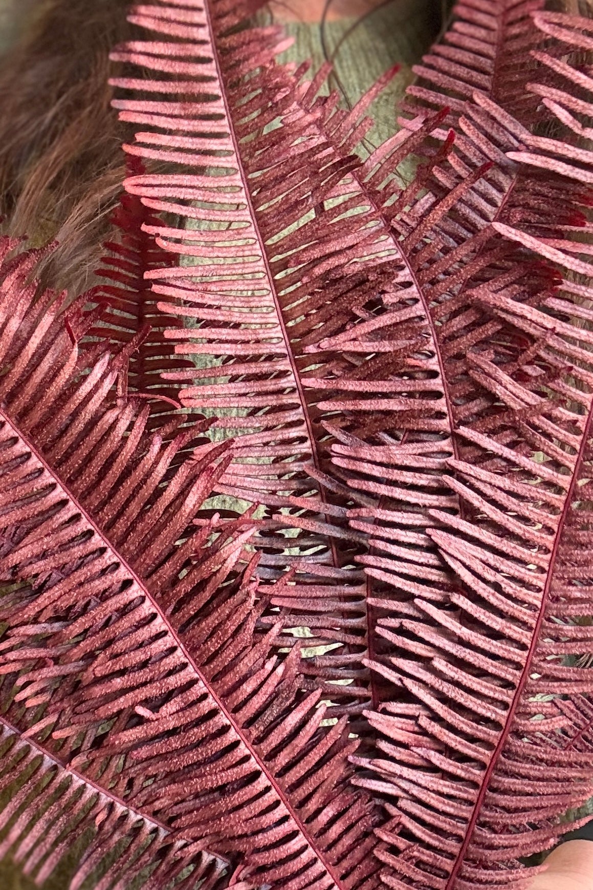 Close-up of Helecho Seagul Burgundy Color Preserved Bunch ©Sprout Home