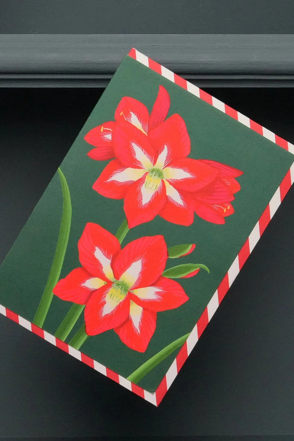 Holiday Amaryllis card by Stengun Drawings showing the front of the card with the red amaryllis in bloom