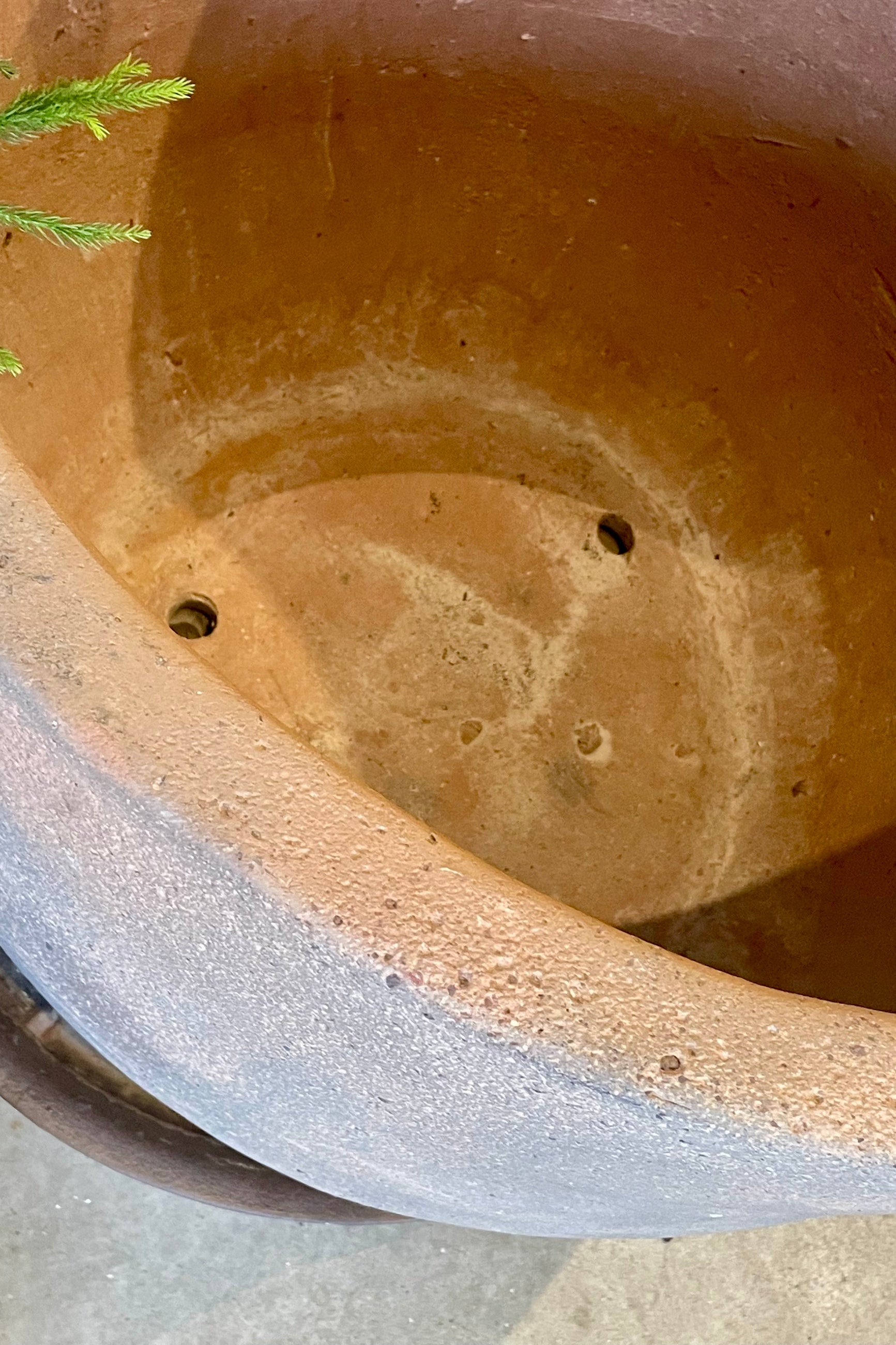 Photo from above looking down into a clay planter with drain holes in the bottom ©Sprout Home