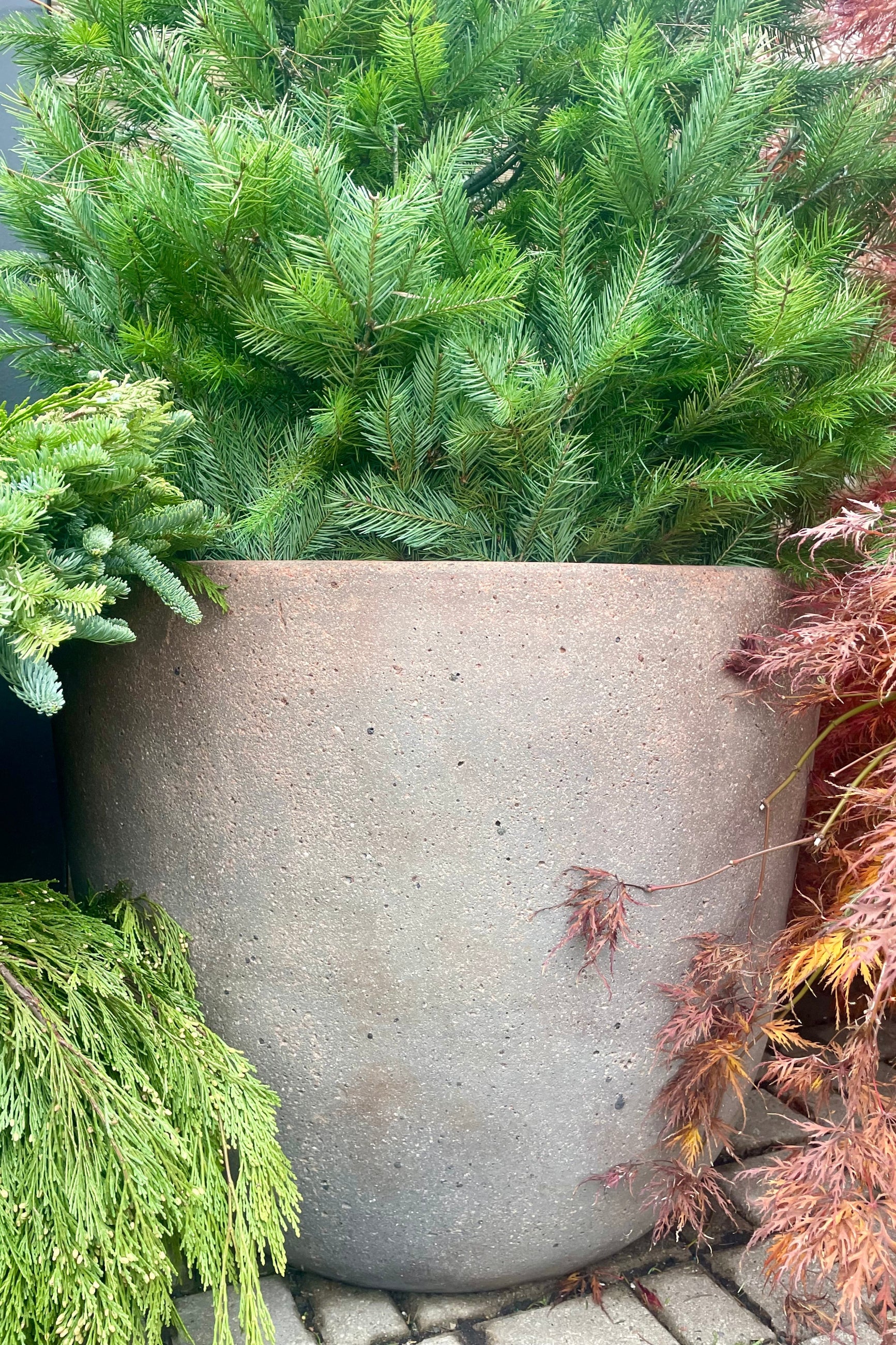 Photo of a rough clay planter from the front. Staged with autumn leaves and evergreens ©Sprout Home