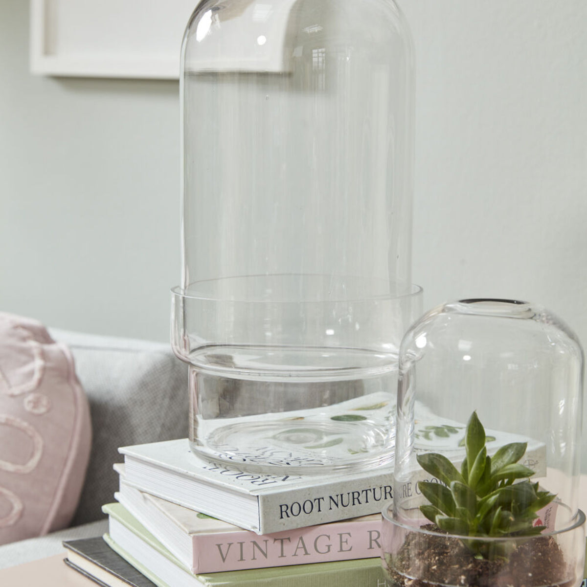 cloche terrarium plants Griffith Terrarium