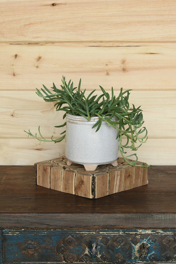 Sur Cachepot white by Homart with a succulent potted inside on top of a wood stand. 