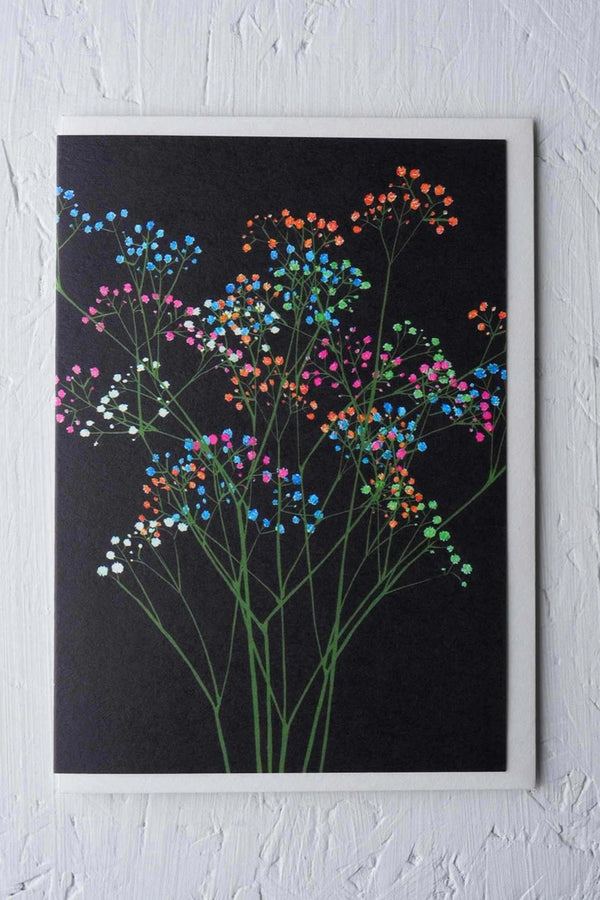 Rainbow Gypsophila greeting card by Stengun Drawings with its rainbow stems on black. 