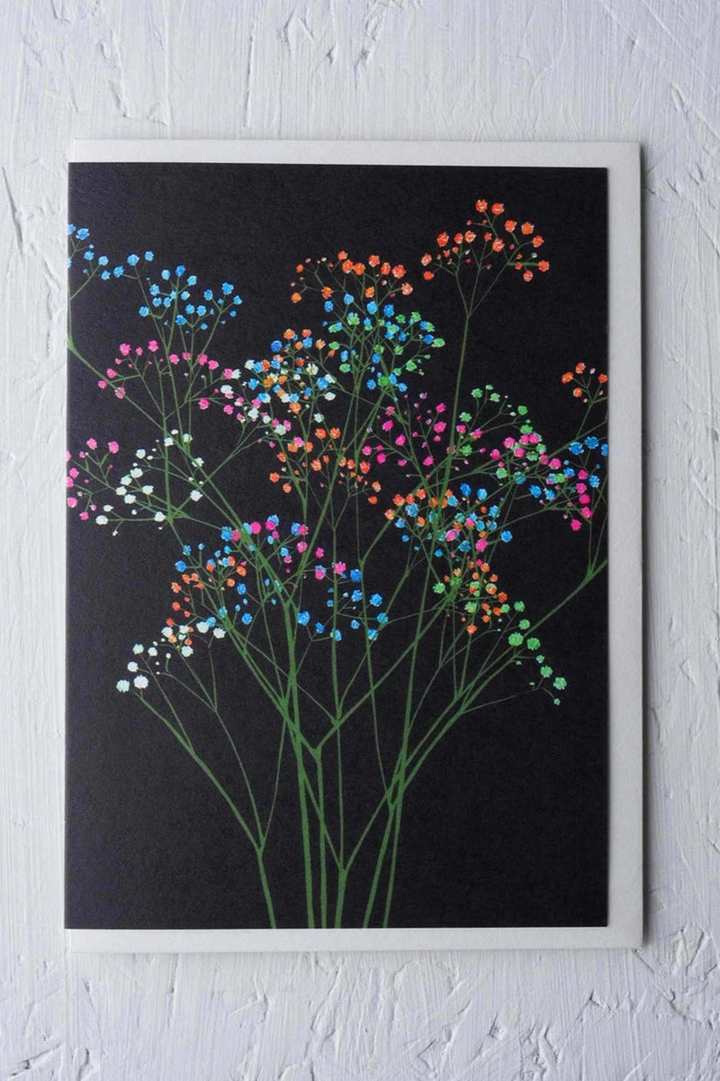 Rainbow Gypsophila greeting card by Stengun Drawings with its rainbow stems on black. 