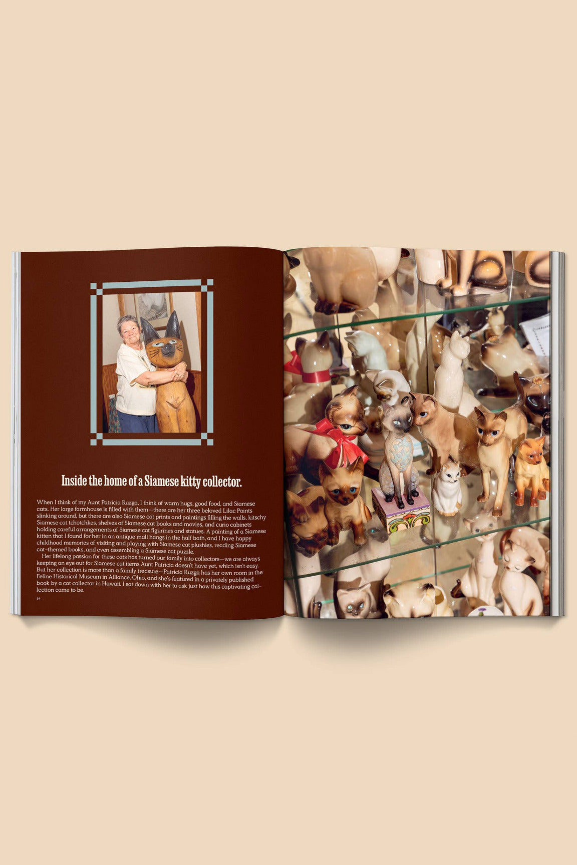 Open Catnip Magazine Volume 2 showing a photo of a person with a Siamese cat and a display case filled with Siamese cat figurines. ©Broccoli