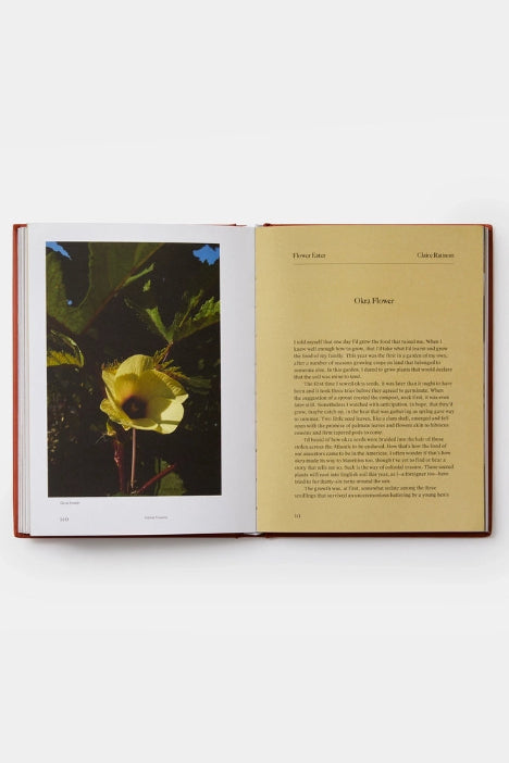 Open Edible Flowers, why and when, book with a photograph of a yellow flower on one page and text on the other, on a white background. ©Phaidon