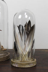 Castello Cloche and Wood Base by Homart with feathers inside.