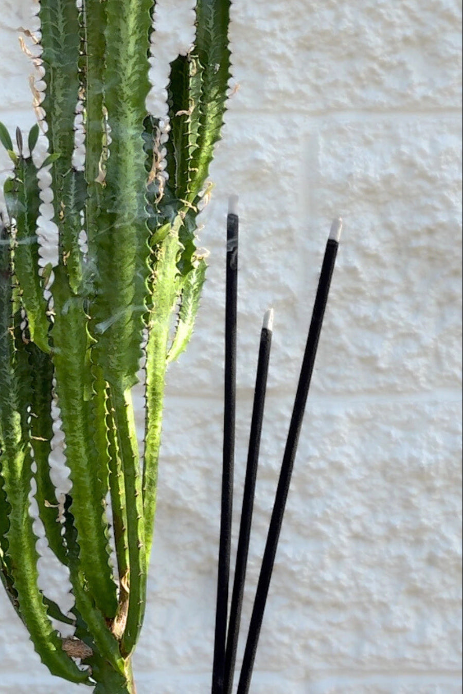 Goldenhour - Outdoor/Jumbo Incense Sticks at SPROUT HOME