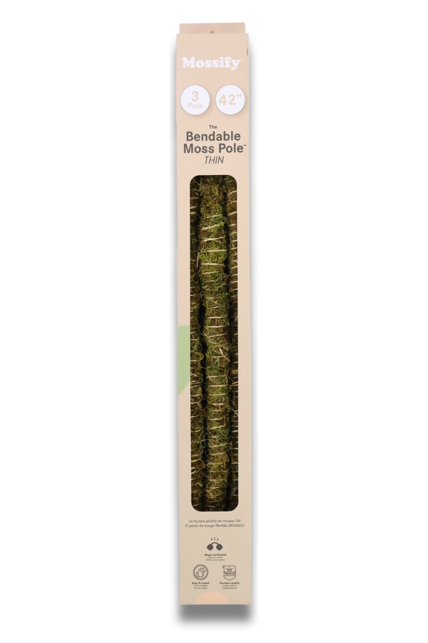 bondable moss pole 2 pack in its packaging