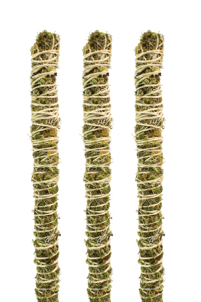 The tops of three bendable moss poles