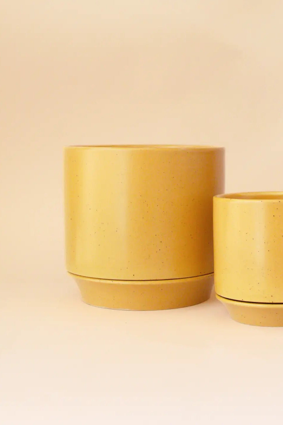 Parker Planter Honey Speckle with Trivet 6.75" ©Jungle Club