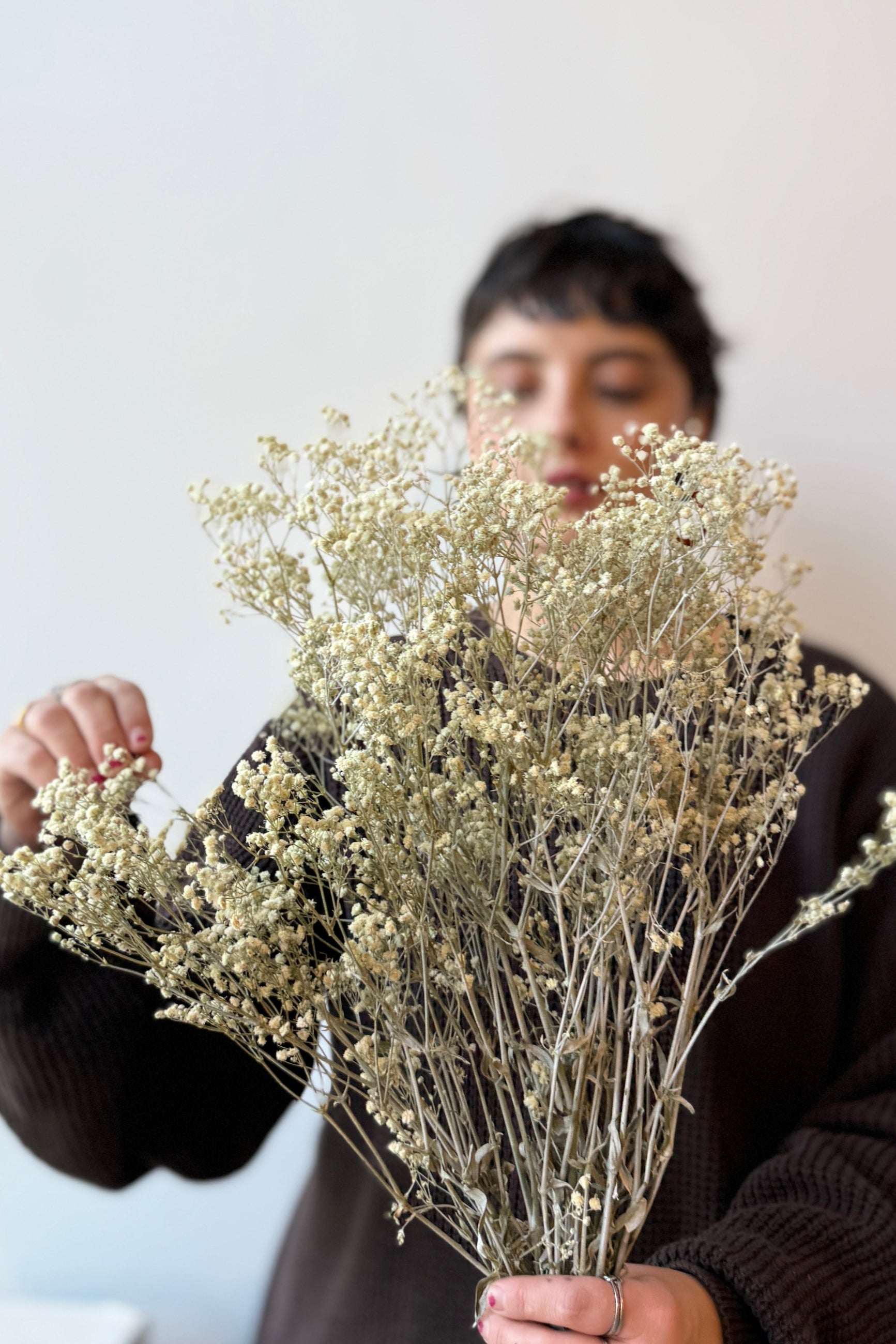 Person holding a bouquet of dried preserved dusty gypsophila flowers against a plain background ©Sprout Home