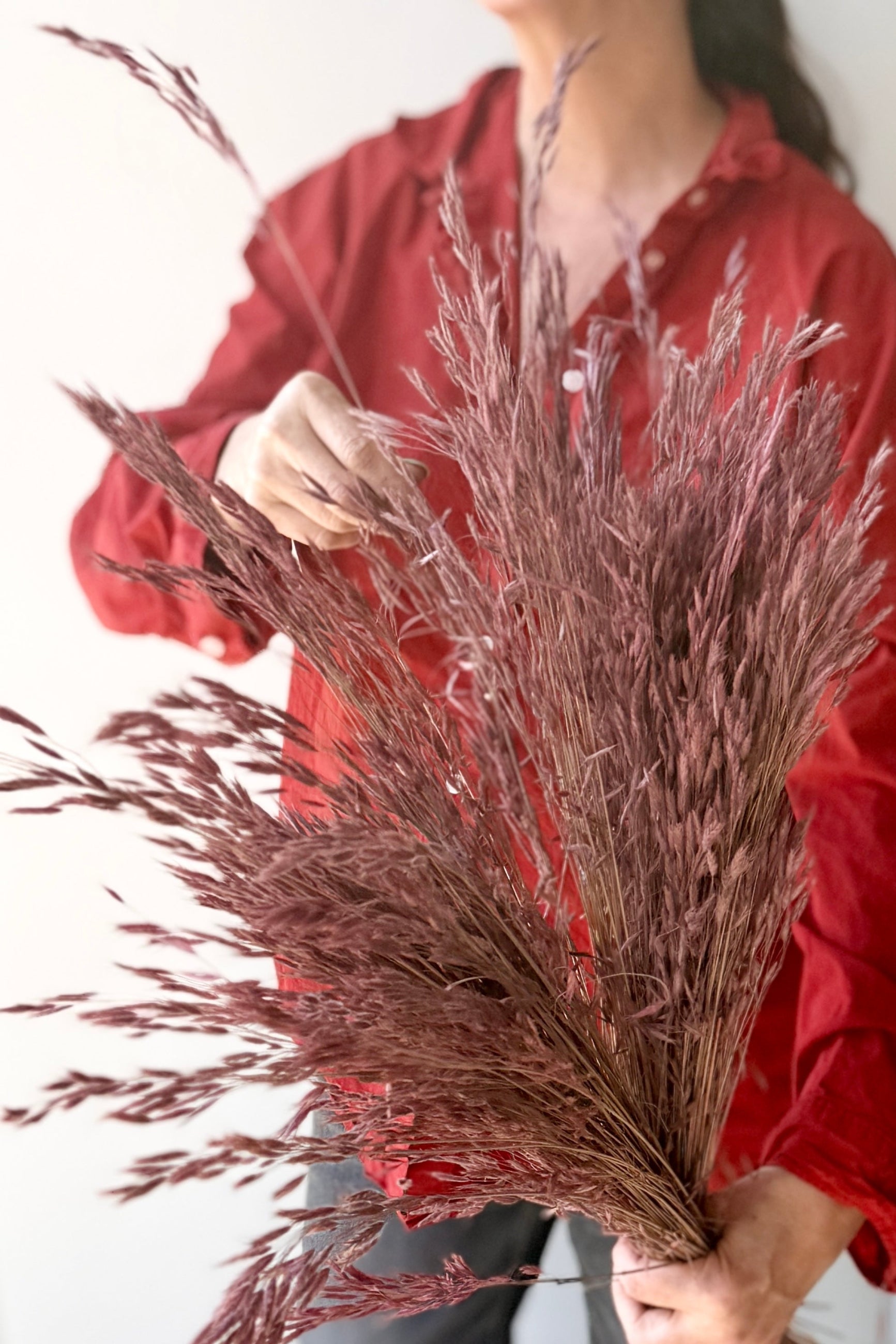 Person holding a large bundle of dried preserved mauve colored Bromus grasses against a plain background ©Sprout Home