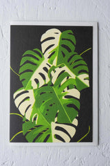 Variegated Monstera greeting card by Stengun Drawings shown from the front with its leaves on a black. 