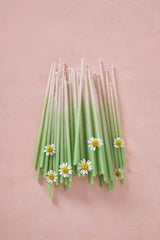 Knot & Bow tall Mint Ombre beeswax candles on pink with chamomile flowers.