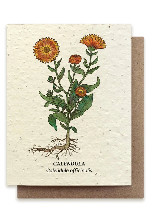 Calendula plantable card with the calendula image on the front cover and envelope behind.