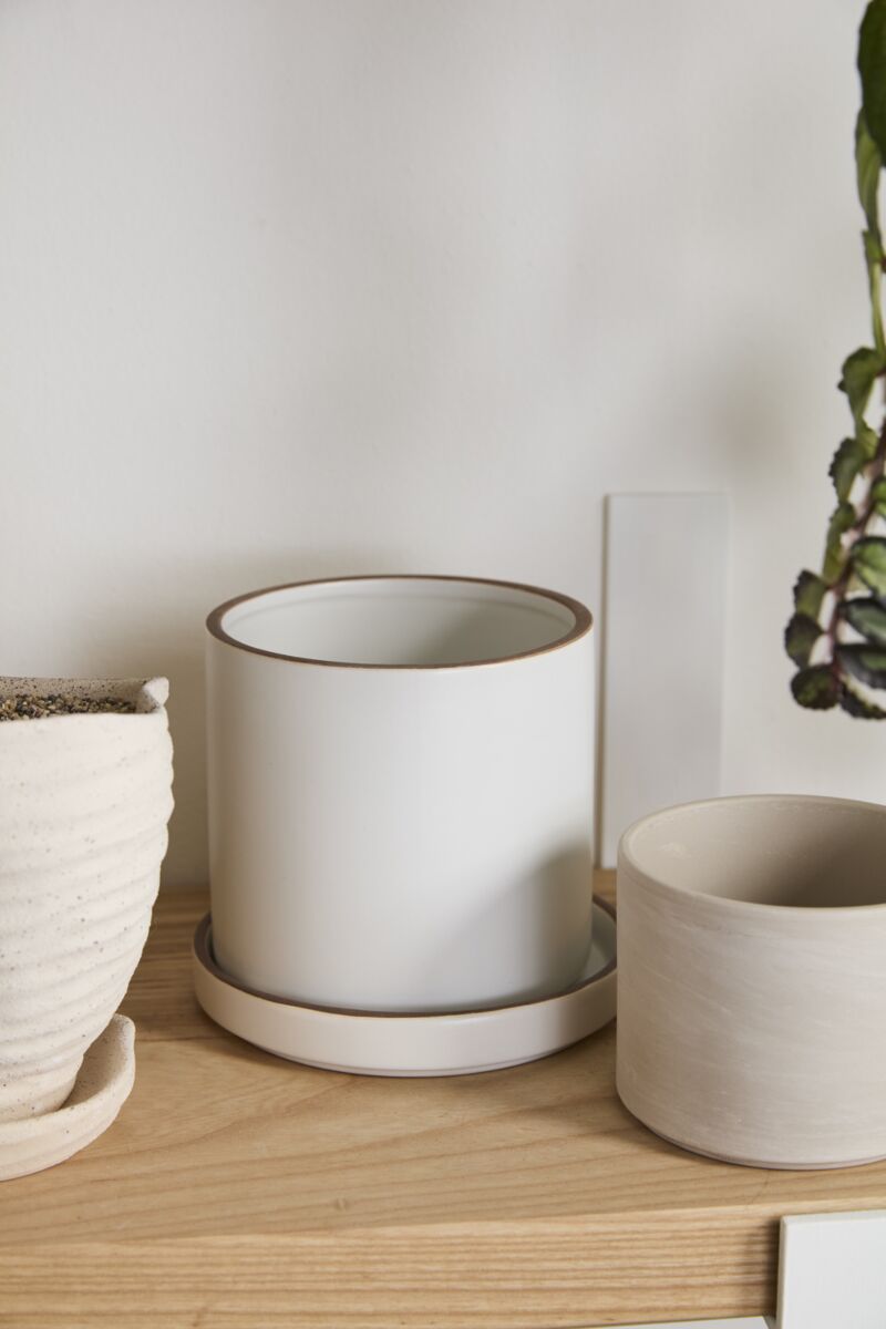 Three ceramic Author planters on a wooden surface with a neutral background ©Accent Decor